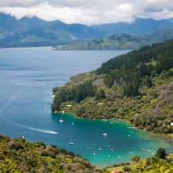 Marlborough Sounds Accommodation Bahrain