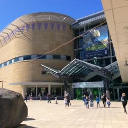Te Papa Museum, Wellington Accommodation Bahrain