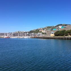 Wellington Accommodation Bahrain