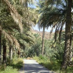 Al Ḩamrāʼ Accommodation Bahrain