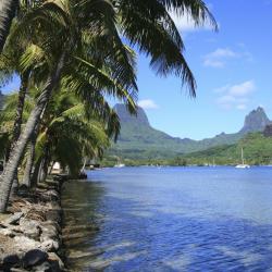 Moorea Accommodation Bahrain