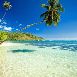 Moorea Accommodation Bahrain