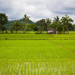 Mindoro Accommodation Bahrain