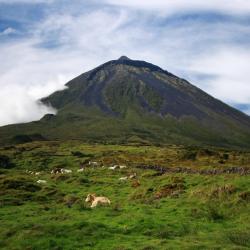 Pico island Accommodation Bahrain