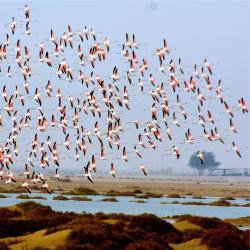 Al Khor Accommodation Bahrain