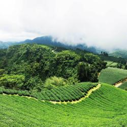 Chiayi County Accommodation Bahrain