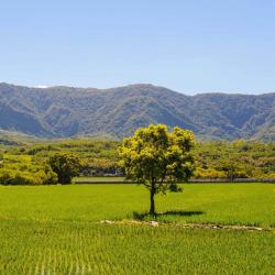 Taitung County Accommodation Bahrain