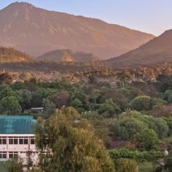 Arusha Accommodation Bahrain