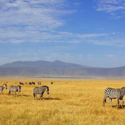 Ngorongoro Accommodation Bahrain