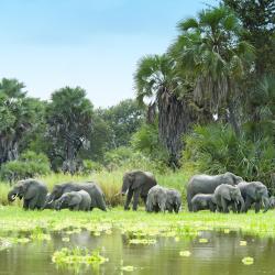 Selous Game Reserve Accommodation Bahrain