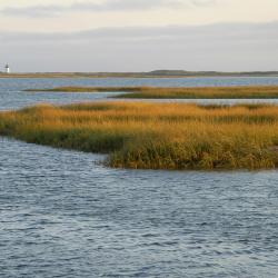 Cape Cod Accommodation Bahrain
