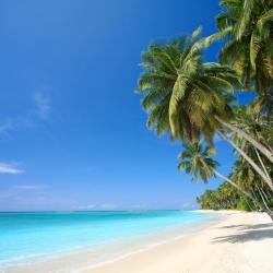 Hawaii Accommodation Bahrain