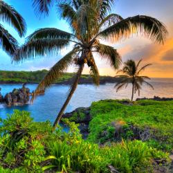 Maui Accommodation Bahrain