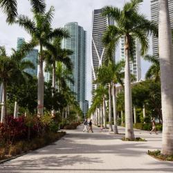 Miami Accommodation Bahrain