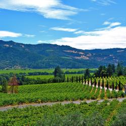 Napa Valley Wine Country Accommodation Bahrain