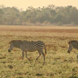 Kitwe Accommodation Bahrain