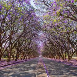 Harare Accommodation Bahrain
